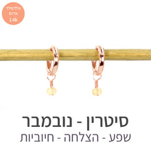טעינת תמונה בתצוגת גלריה, עגילי לונה סיטרין