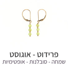 טעינת תמונה בתצוגת גלריה, עגילי גלאם פרידוט