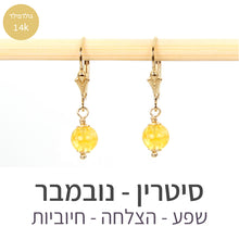 טעינת תמונה בתצוגת גלריה, עגילי קלי סיטרין
