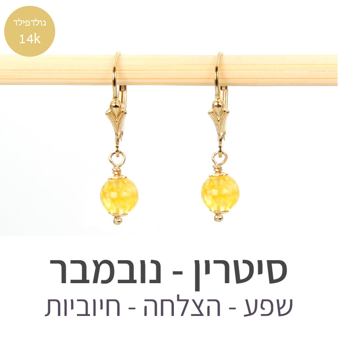 עגילי קלי סיטרין