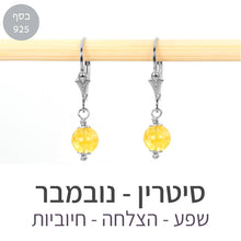 טעינת תמונה בתצוגת גלריה, עגילי קלי סיטרין
