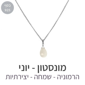 שרשרת איסט מונסטון
