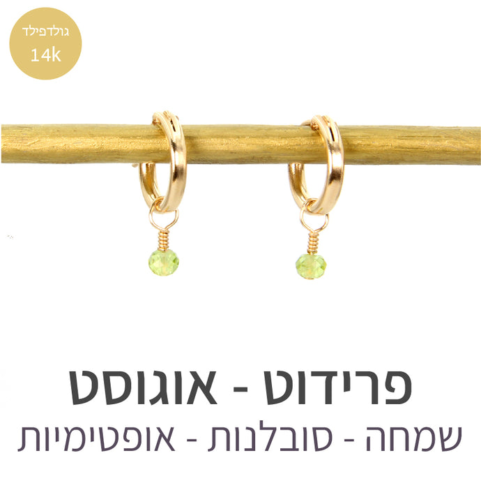 עגילי לונה פרידוט