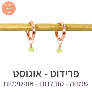 עגילי לונה פרידוט