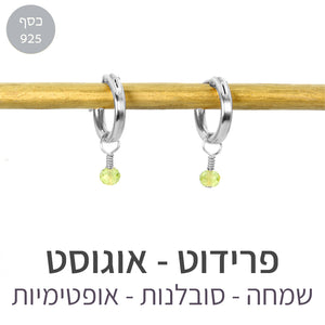 עגילי לונה פרידוט
