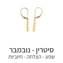 טעינת תמונה בתצוגת גלריה, עגילי גלאם סיטרין
