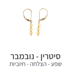 עגילי גלאם סיטרין