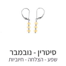 טעינת תמונה בתצוגת גלריה, עגילי גלאם סיטרין
