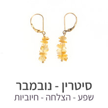 טעינת תמונה בתצוגת גלריה, עגילי טנריף סיטרין
