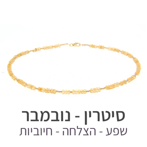 שרשרת מינט סיטרין