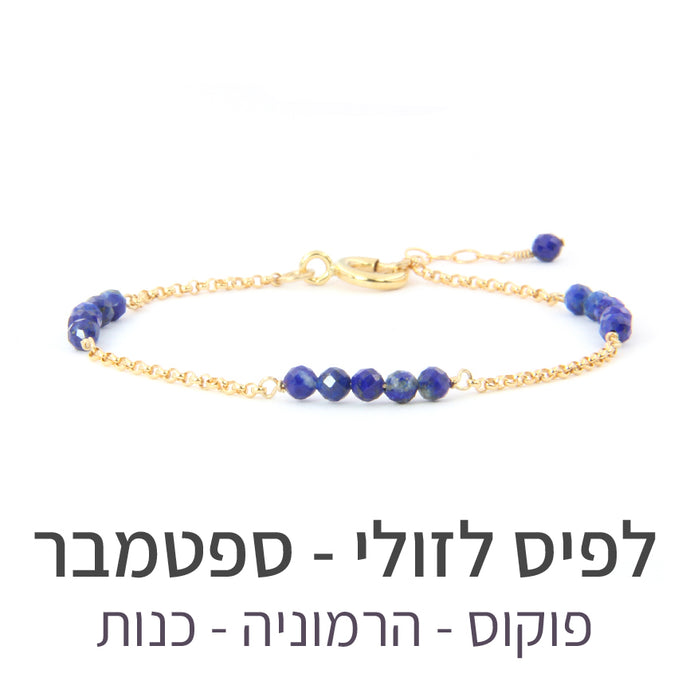צמיד זברה לפיס לזולי