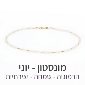 שרשרת מינט מונסטון