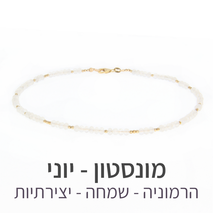 שרשרת מינט מונסטון