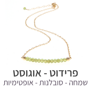 שרשרת בר פרידוט