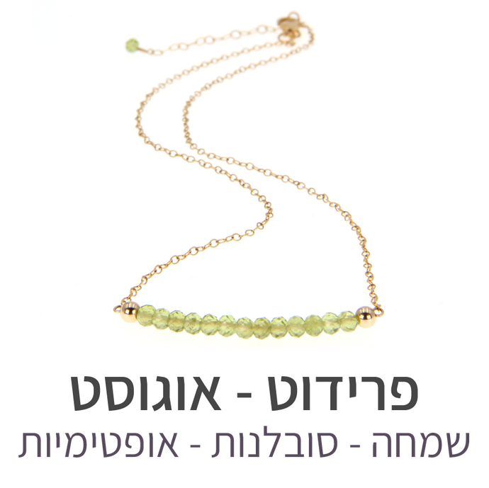 שרשרת בר פרידוט