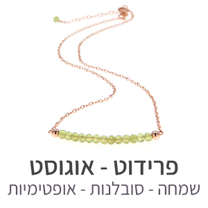 שרשרת בר פרידוט