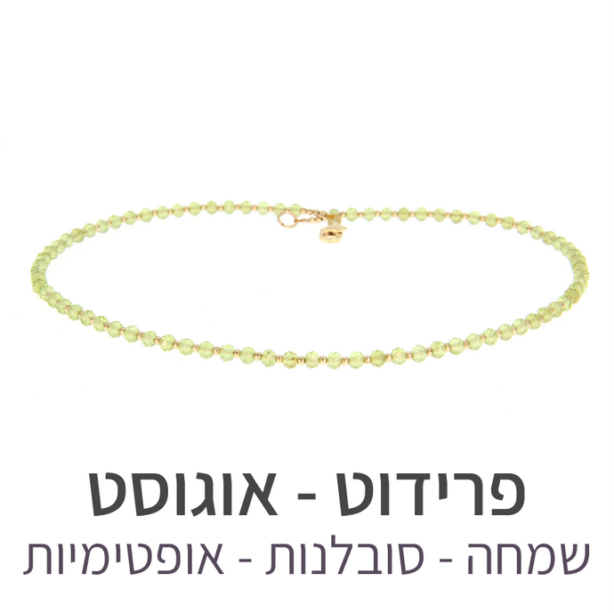 שרשרת גלאם פרידוט