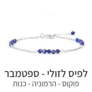 צמיד זברה לפיס לזולי - אבן הלידה שלי - MyBirthstone